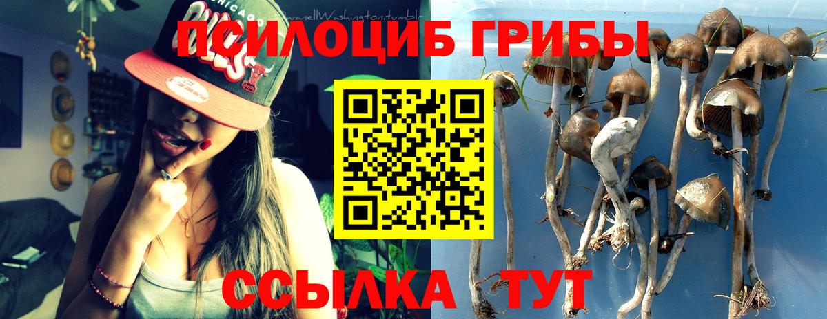 Псилоцибиновые грибы прущие грибы Иваново